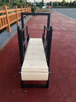 175cm*52cm*130cm Μη κινητήρας σκύλος Slatmill για εξατομικευμένη εκπαίδευση και άσκηση