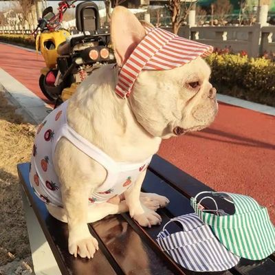 Μόδας κατοικίδια ζώα Λογότυπο Καπέλο κατοικίδια ζώα δημοφιλές καπέλο άκρο σκυλί κουτάβι καπέλο δημοφιλές μικρό σκυλί γλυκά αξεσουάρ