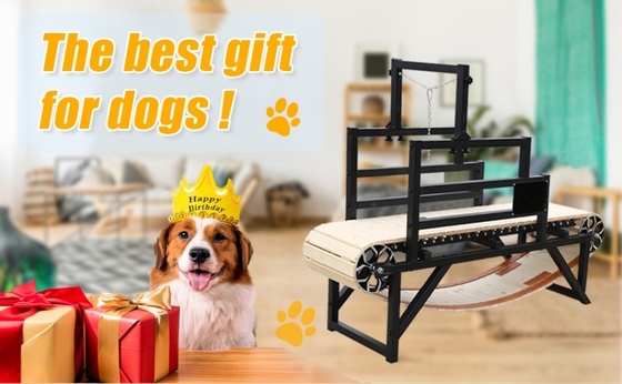 Προσαρμοσμένο μέγεθος Alipetsmile Pet Dog Treadmill Εκπαιδεύστε το σκύλο σας με ευκολία και αποτελεσματικότητα