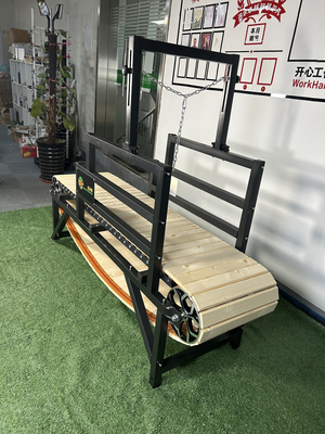 Alipetsmile Pet Dog Treadmill Walking Machine Προσαρμοσμένο μέγεθος και δείγμα για εκπαίδευση