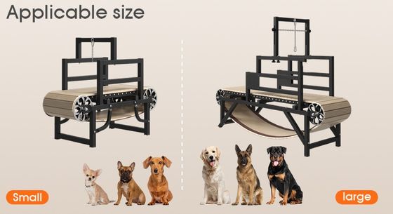 Εξαιρετικά μεγάλος εξοπλισμός ευελιξίας σκύλου Προσαρμοσμένο χρώμα σκυλί τρέξιμο για αδύναμα κατοικίδια ζώα