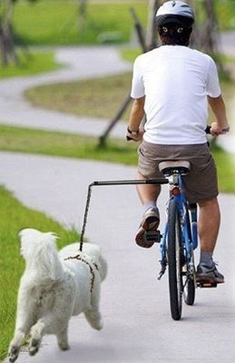 Όλα τα ποδήλατα Εύκολη εγκατάσταση Ποδήλατο σκυλί λουρί Ασφάλεια σκυλί ποδήλατο λουρί Κατάλληλο για μαύρο