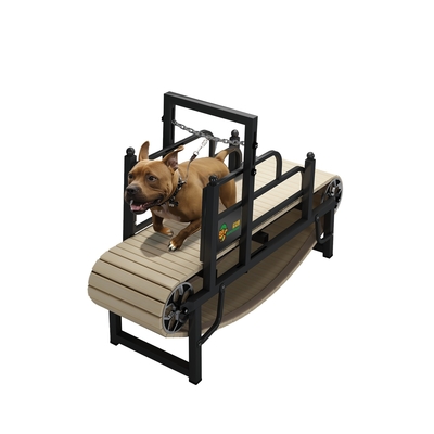 Τρέξιμο καθημερινά για κατοικίδια ζώα Custom SAP Weight Steel Treadmill σε προσαρμοσμένο χρώμα για μεγάλα σκυλιά