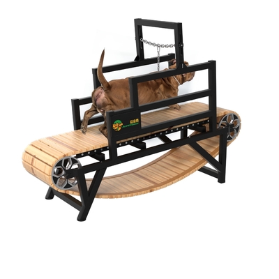 Τρέξιμο καθημερινά για κατοικίδια ζώα Custom SAP Weight Steel Treadmill σε προσαρμοσμένο χρώμα για μεγάλα σκυλιά