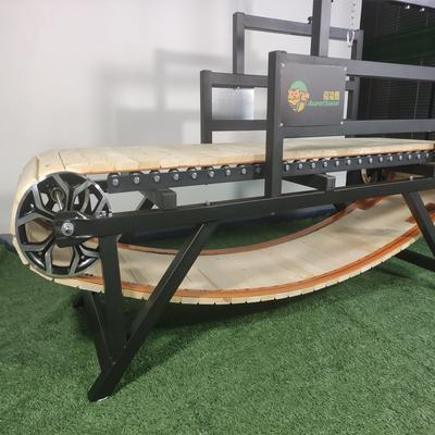 Προσαρμοσμένο λογότυπο Pet Treadmill Αειφόρος σκύλος treadmill για την εκπαίδευση Slat treadmill