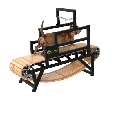 Alipetsmile Smooth Dog Treadmill από τη Σαγκάη ή το λιμάνι της Ναντζίνγκ για ενεργά σκυλιά
