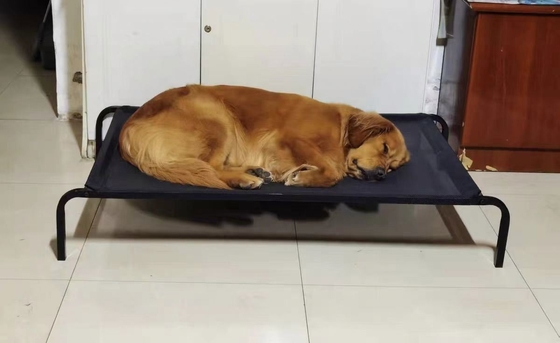 Σιδηρουργικό πλαίσιο και πλέγμα ύφασμα Kennel για τέσσερις εποχές παγκόσμιο κρεβάτι κατοικίδιων ζώων off ground
