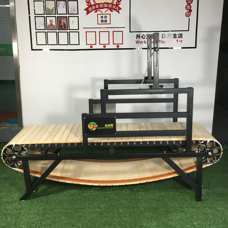 Alipetsmile Pet Dog Treadmill Walking Machine Προσαρμοσμένο μέγεθος και δείγμα για εκπαίδευση