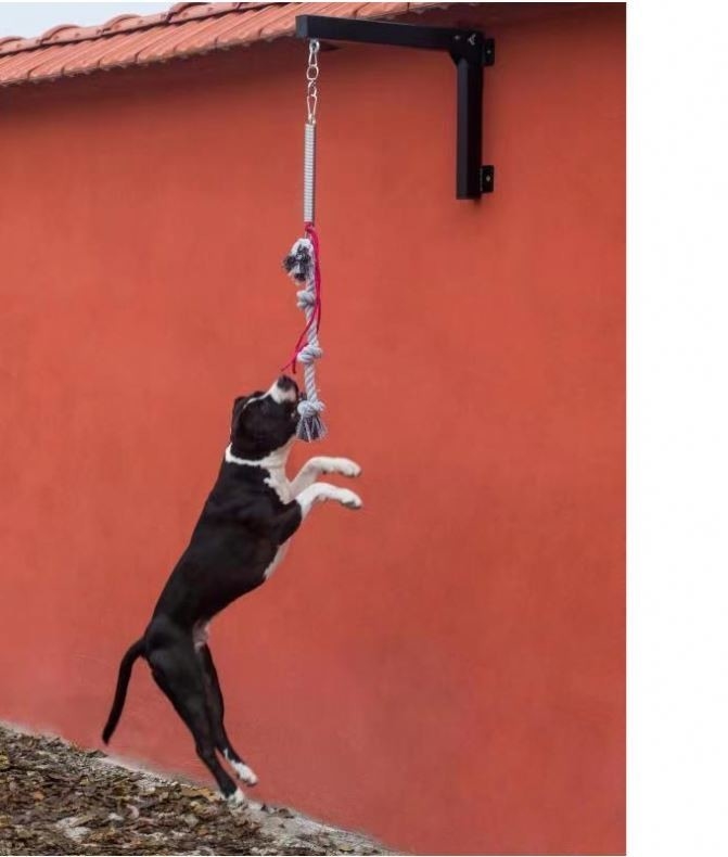 Ανθεκτικός στύλος ελατήριας για Pitbull ισχυρό σκυλί σχοινί παιχνίδι βιώσιμο είδος αντικειμένου Άλλα