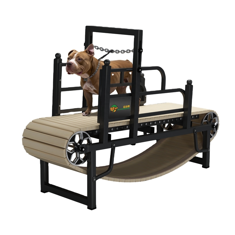 Alipetsmile Smooth Dog Treadmill από τη Σαγκάη ή το λιμάνι της Ναντζίνγκ για ενεργά σκυλιά