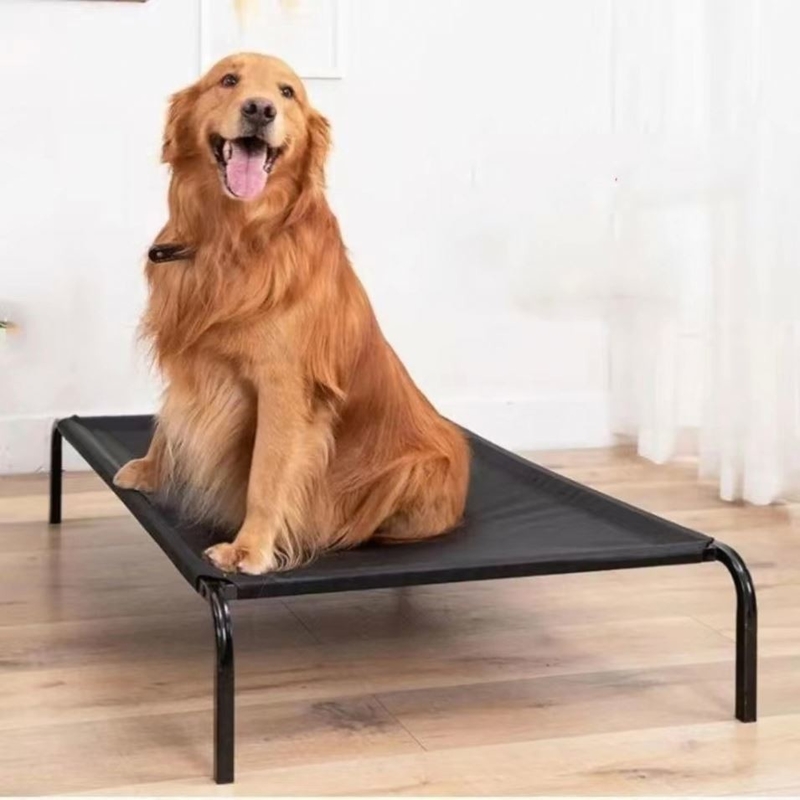 Σιδηρουργικό πλαίσιο και πλέγμα ύφασμα Kennel για τέσσερις εποχές παγκόσμιο κρεβάτι κατοικίδιων ζώων off ground